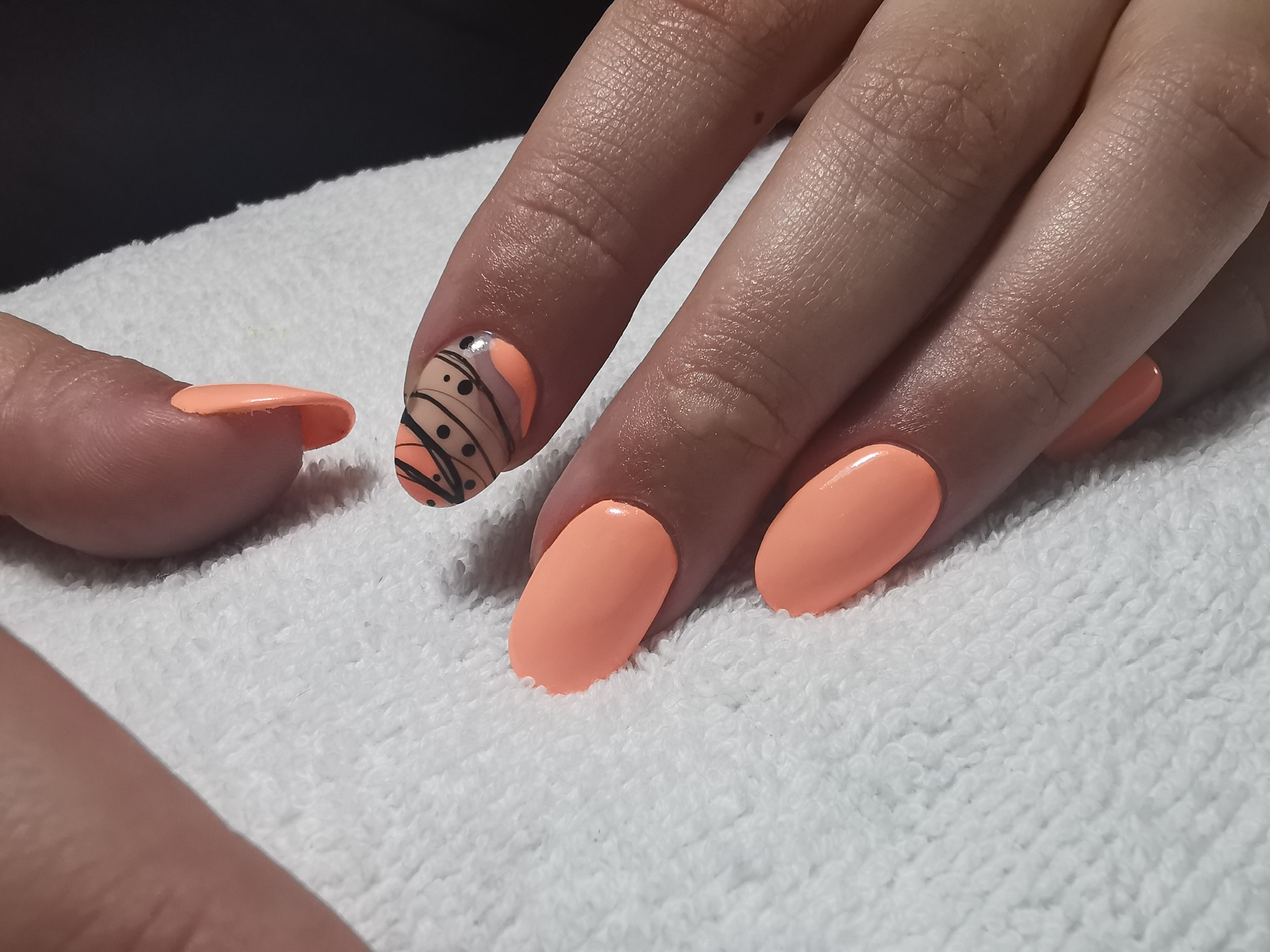 6ADD0EC7-B5BB-4D21-B398-566B02A9199F